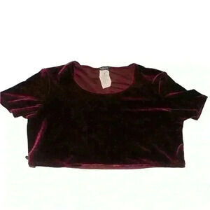 Maroon Velvet Crop Top